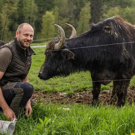 Hotel Mahorko Wein Wellness Wasserbueffel Glanz an der Weinstrasse
