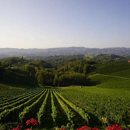 Mahorko Wein Wellness Wasserbueffel Отель Гланц-ан-дер-Вайнштрасе