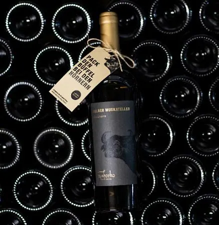 Mahorko Wein Wellness Wasserbueffel Отель Гланц-ан-дер-Вайнштрасе