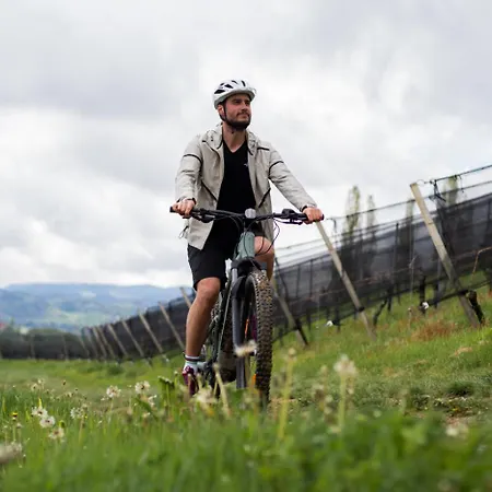 Отель Mahorko Wein Wellness Wasserbueffel Гланц-ан-дер-Вайнштрасе