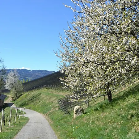 Отель Mahorko Wein Wellness Wasserbueffel *