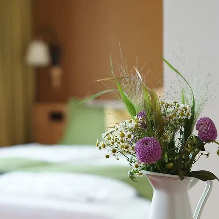 Отель Mahorko Wein Wellness Wasserbueffel Гланц-ан-дер-Вайнштрасе