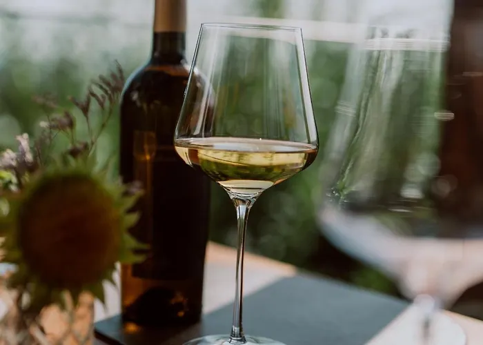 Hotel Weingut Restaurant Mahorko *