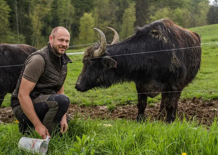 Hotel Weingut Restaurant Mahorko Glanz an der Weinstraße