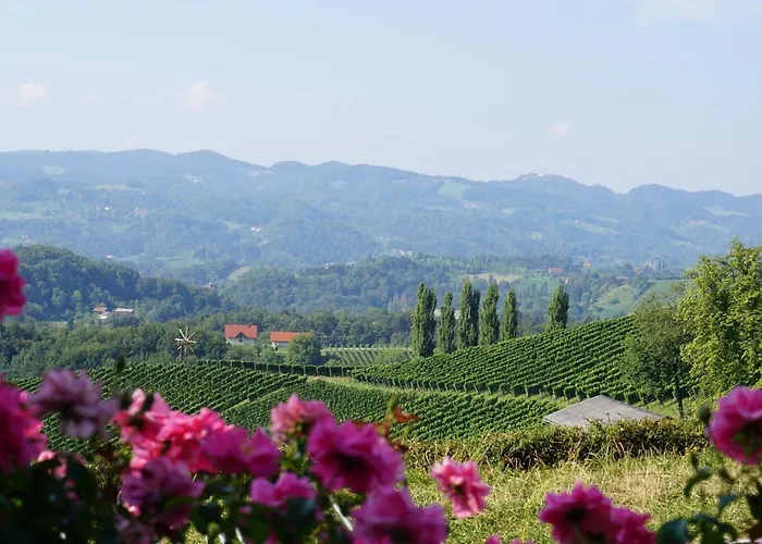 Hotel Weingut Restaurant Mahorko *