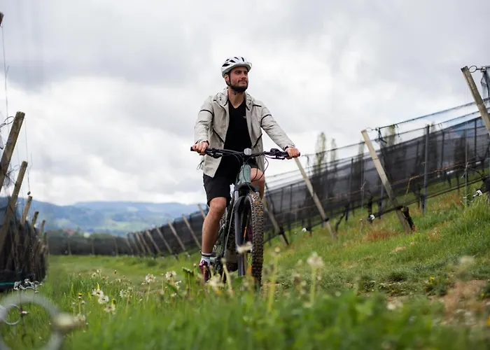 Hotel Weingut Restaurant Mahorko Glanz an der Weinstraße