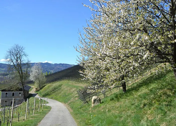 Hotel Weingut Restaurant Mahorko *